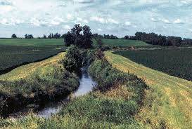 Field with Riparian Buffer